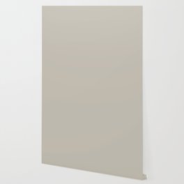 Agreeable Gray light neutral solid color  Wallpaper
