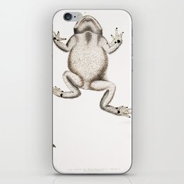 Keeled Nosed Toad & Doubtful Toad  iPhone Skin