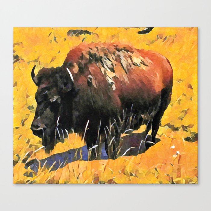 Muddy Buffalo Canvas Print By Adastraart Society6