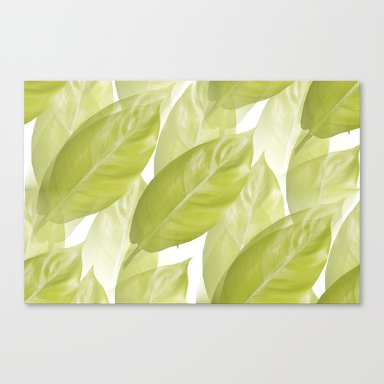 Green leaves Canvas Print