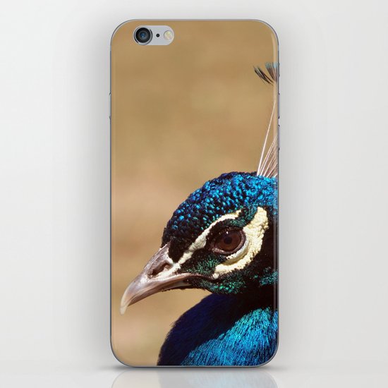 Indian Peacock Headshot iPhone & iPod Skin