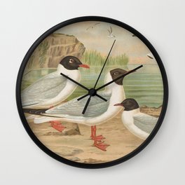  Larus minutus Pall, Larus ridibundus, Larus melanocephalus Natt, Larus minutus Pall Johann Friedrich Naumann (German, 1780 – 1857) Wall Clock