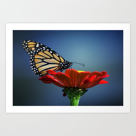 The Monarch Art Print