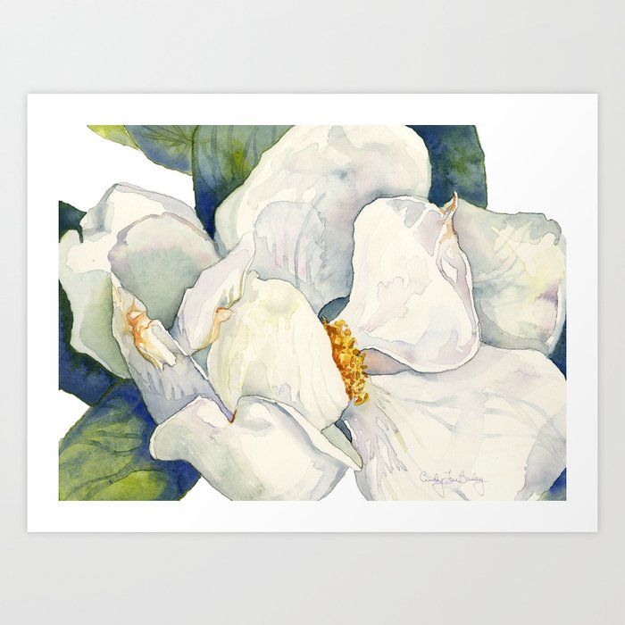 Magnolia Full Bloom Art Print