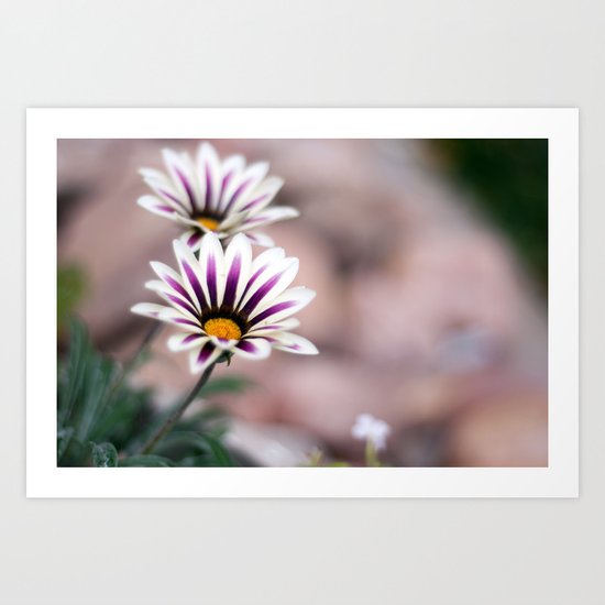 Stripes Art Print