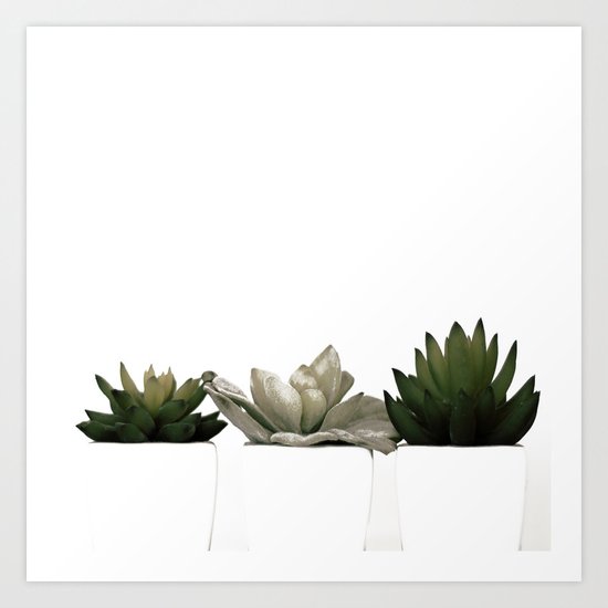 Lovely green cactus - cacti in white pots on a white background Art Print