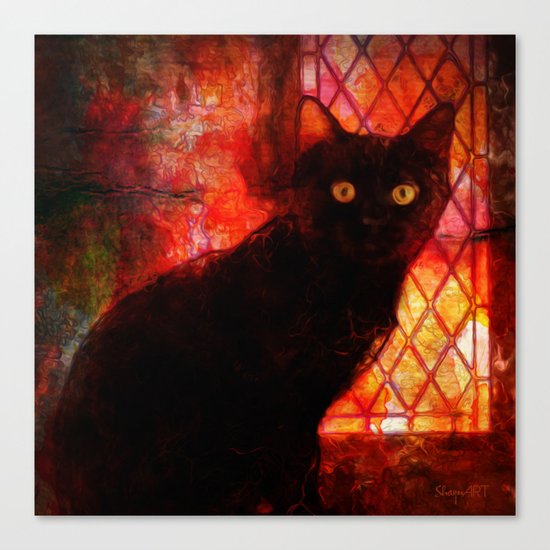 Staring Cat Canvas Print