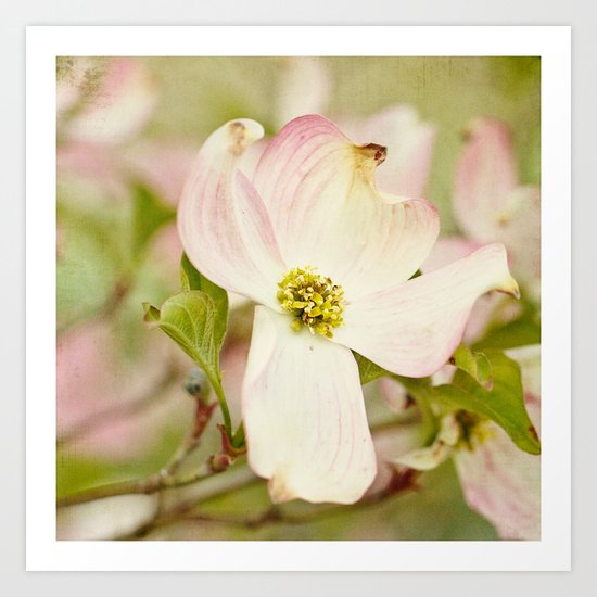 pink Art Print