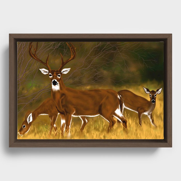 Friends In The Woods Framed Canvas