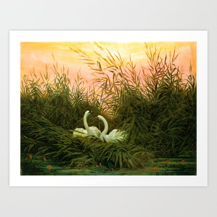 Swans in the reeds at the first dawn Caspar David Friedrich Friedrich schwaene im schilf  Art Print