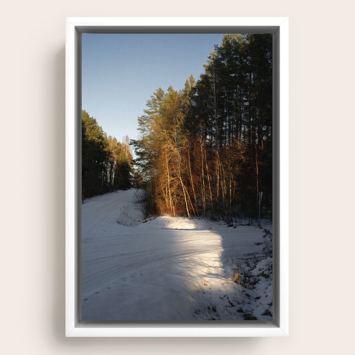 Framed Canvas