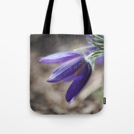 Purple Pasque Flower Tote Bag