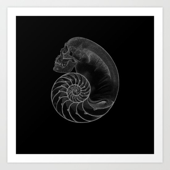 sea'sHell Art Print