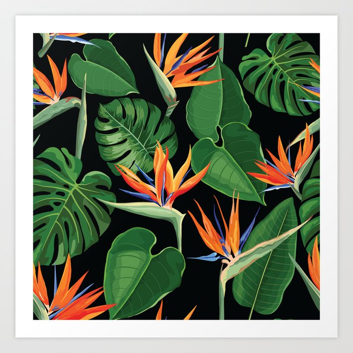 Exotic Plants. Strelitzia, Bird Of Paradise, Monstera Art Print