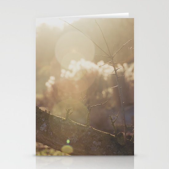 garden sunburst... Stationery Cards
