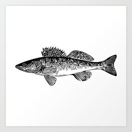 ZANDER  Signed Limited Edition Predator Fishing Art Print Direct From Artist