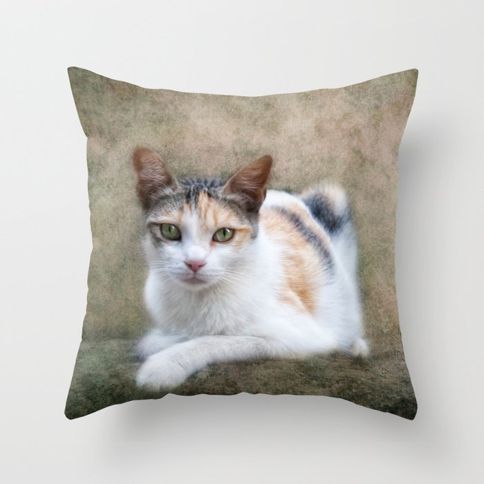 kitty cat Throw Pillow