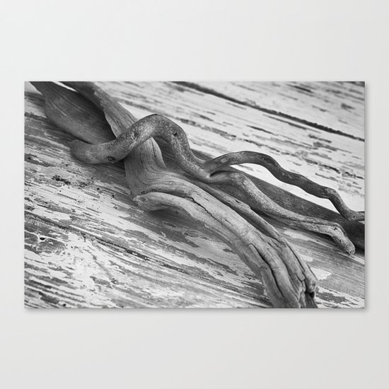 weathered driftwood black and white Canvas Print