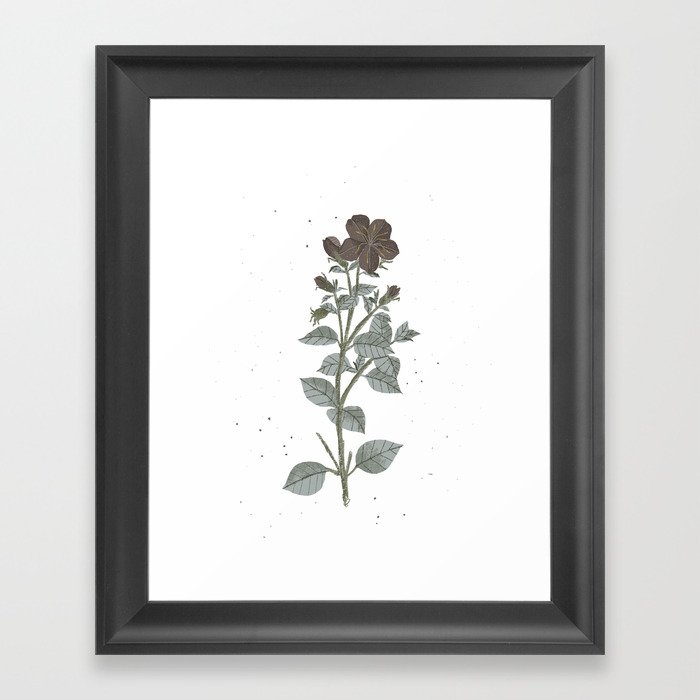 Solely a flower Framed Art Print