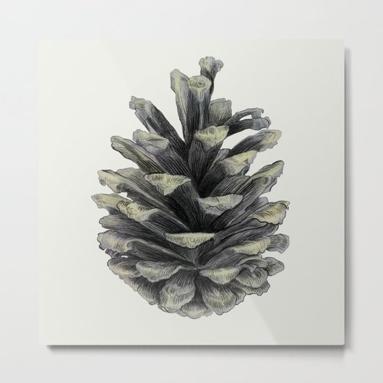 Pine Cone Metal Print