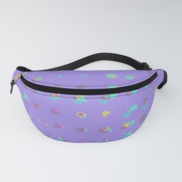 Descent Light 9 Fanny Pack