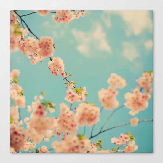 Splash of Pink Canvas Print