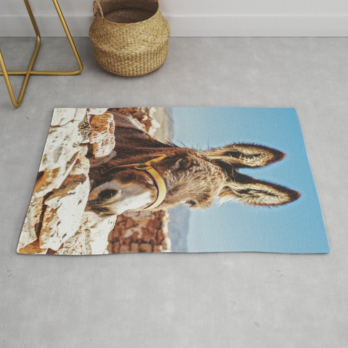 Donkey photo Rug