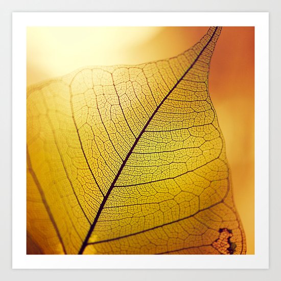 Autumn Stories Art Print
