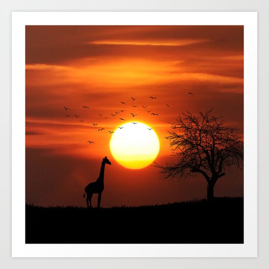 Giraffe sundown Art Print