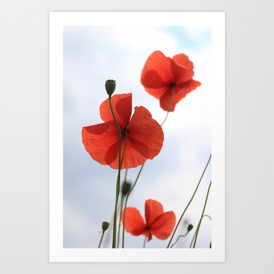 Mohn Art Print