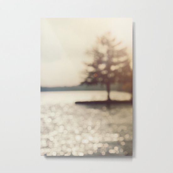 Silver Lake Metal Print