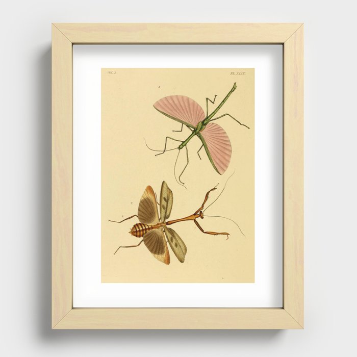 Recessed Framed Print