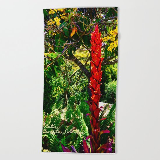 Alpinia purpurata – Red Ginger Flower, Nature in Bogota, Colombia Beach Towel