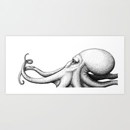 Octopus Art Print