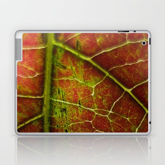 Autumn texture Laptop & iPad Skin
