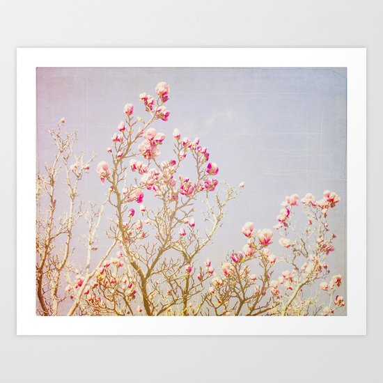 Sweet Pink Magnolias Art Print