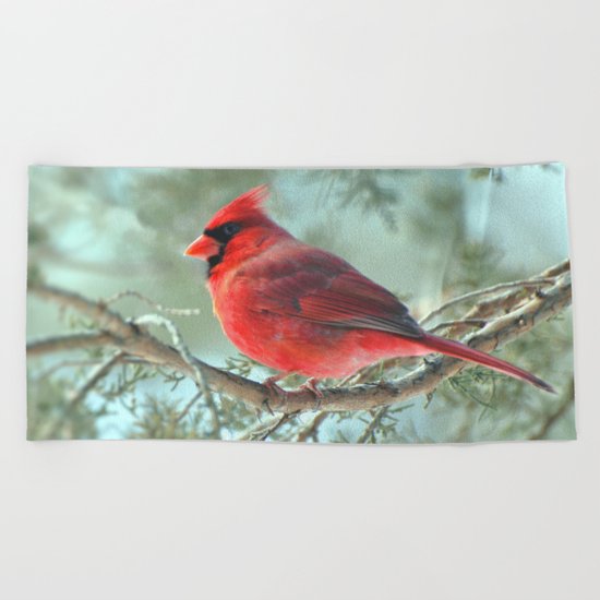 Dreamy Morning (Northern Cardinal) Beach Towel