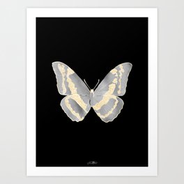 butterflies / psyche 049 Art Print