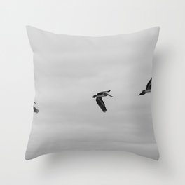 Pelican Flight Study Throw Pillow