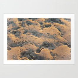 Prints in the Sand Art Print