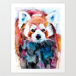 Red panda Art Print