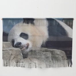 sleeping panda Wall Hanging