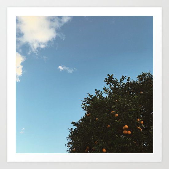 California oranges Art Print