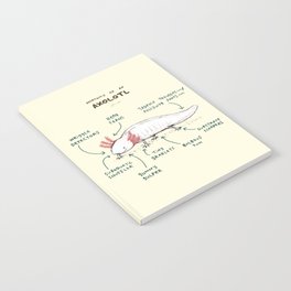 Anatomy of an Axolotl Notebook