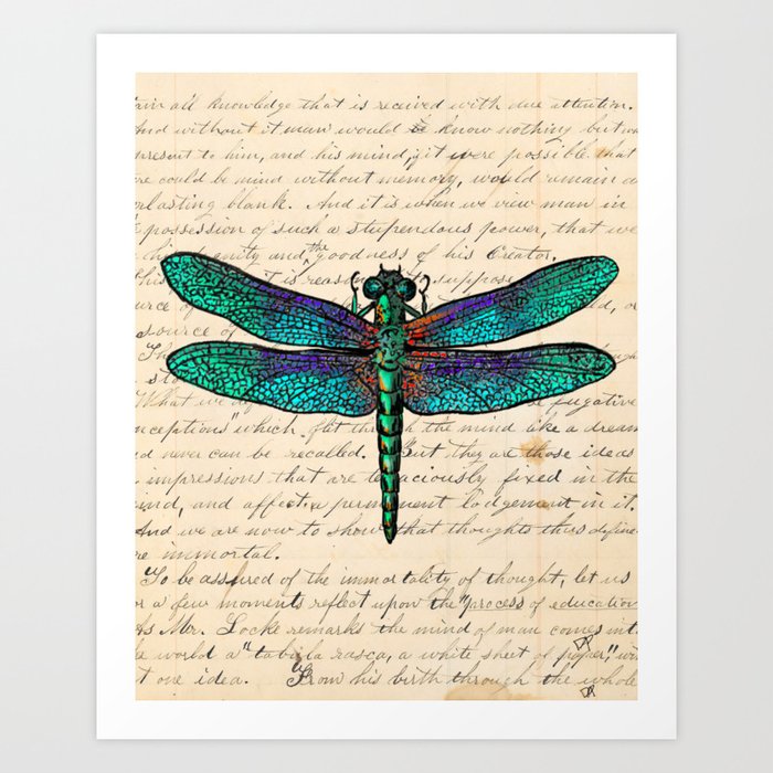Vintage Dragonfly Art Print