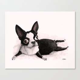 The Little Fat Boston Terrier Canvas Print