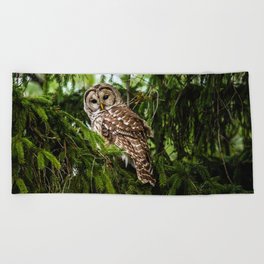 Barred Owl Beach Towel