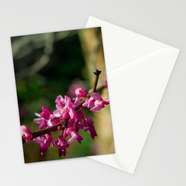 Pink flowers Stationery Cards