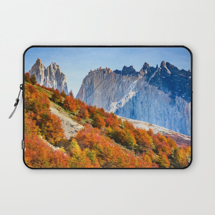 Patagonia Laptop Sleeve