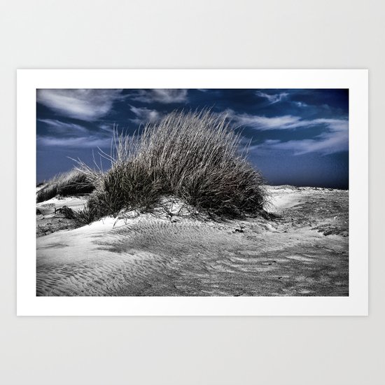 Windblown Art Print